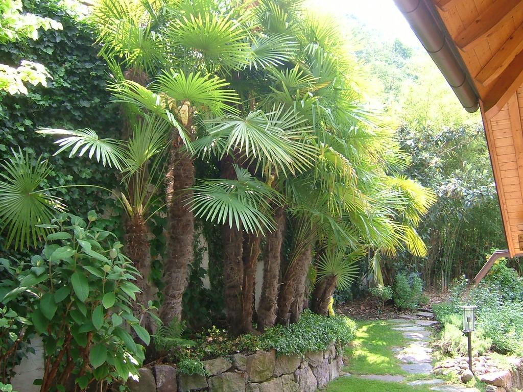 Villa Sissi Laives Exterior photo